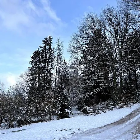 Chantoiseaux Hébergement de vacances *