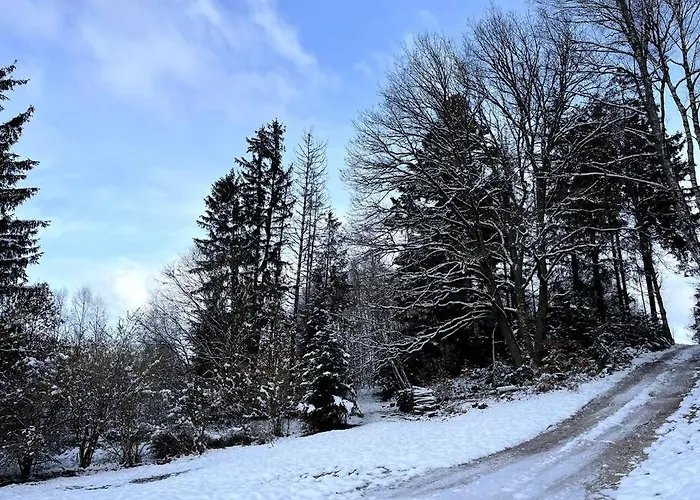 Chantoiseaux Dom wakacyjny *